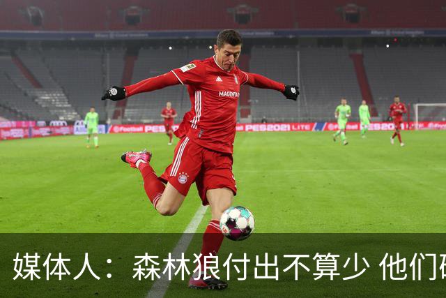 媒体人：森林狼付出不算少 他们确实需要变化 之前的阵容到上限了