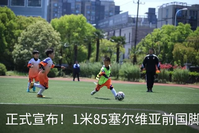 正式宣布！1米85塞尔维亚前国脚加盟山东足坛，名帅力荐强援助阵