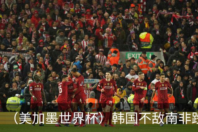 （美加墨世界杯）韩国不敌南非跌至小组第三 出线前景待定
